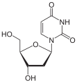 Deutsch: Struktur von Desoxyuridin English: Structure of Deoxyuridine