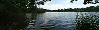 Čeština: Dubský rybník u obce Haklovy Dvory, okres České Budějovice. English: Dubský pond at the village of Haklovy Dvory, České Budějovice District, South Bohemian Region, Czech Republic.