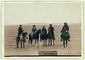 Capture au lasso d'un Loup des plaines, dans le Wyoming en 1887. Photographie prise par l'Américain John C. H. Grabill.