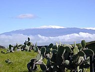 Mauna Kea: situs
