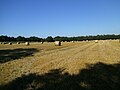 Zwischen Eilendorf und Immenbeck.