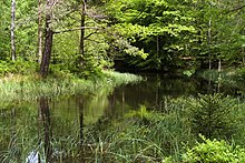 Das Krötenbruchwasser (auch Böses-Loch-Wasser genannt)