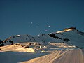 Paragliders