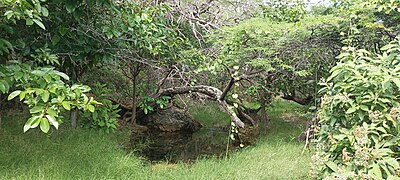 Pozo de agua en el cerro Santa Ana (Paraguaná).jpg