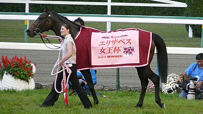 2011年冠軍「飛雪仙蹤」