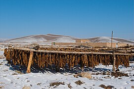 Tabaco en un secadero, cerca de Bastam, al noroeste de Irán.