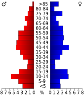 Bevolkingspiramide Treasure County