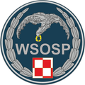 Oznaka rozpoznawcza WSOSP w Dęblinie na mundur wyjściowy.