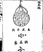 'Bom semangka' ( xi gua pao ) seperti yang dilukiskan di Huolongjing. Ini berisi 'tikus api,' roket mini dengan kait.