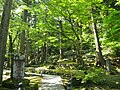 永平寺の守護である愛宕観音堂へ続く道