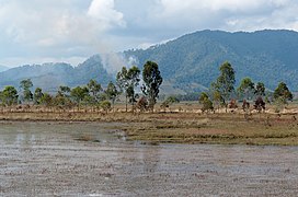 20171116 Ponds near Phonsavan, Laos 2931 DxO.jpg