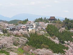 Трешњини цвјетови на планини Јошино су предмет многих представа и вака поезије