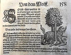 Conrad Ges(s)ner Wolverine Vielfraß Mark Benecke printed in Heidelberg year 1606.jpg