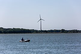 Fishing, Saaler Bodden, Ribnitz-Damgarten (1X7A2751).jpg