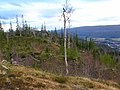 Gruben sett fra Kvitbergan