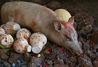 Umu de Samoa, horno de piedras calientes sobre el suelo