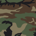 'Woodland' es el nombre del patrón de camuflaje predeterminado entregado a los soldados ecuatorianos.