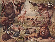 African Animals (cropped).jpg