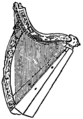 Dalway Irish harp, 1621