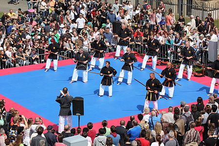 Martial arts show 2016