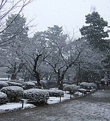 Kenrokuen in winter