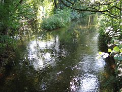 Würmkanal an der Einmündung des Feldmochinger Mühlbachs