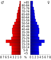 Bevolkingspiramide Lubbock County