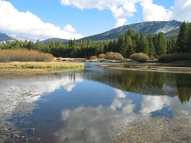 Река Туолумне разливается в районе Лугов Туолумне в Национальном парке Йосемити, в Калифорнии, США