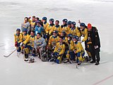 Ukraine national men's bandy team in February of 2016