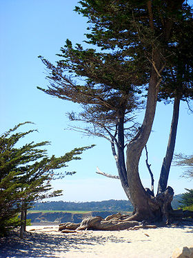 Carmel-by-the-Sea