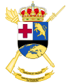 Coat of Arms of the former Field Hospital Group (AGRUHOC)