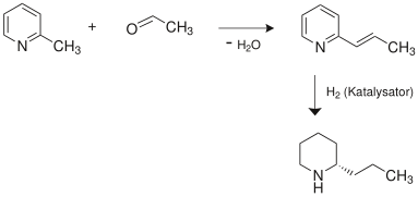 Coniin1.svg