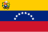 State flag of Venezuela