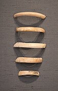 Fragments de bracelets en coquillage. British Museum.