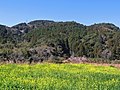 Mount Karasuba, Wadaura District