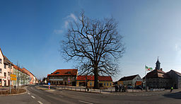 Torget i Biesenthal med Kaisereiche och Altes Rathaus.