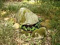 Urdolmen zwischen Dammerstorf und Barkvieren, Mecklenburg