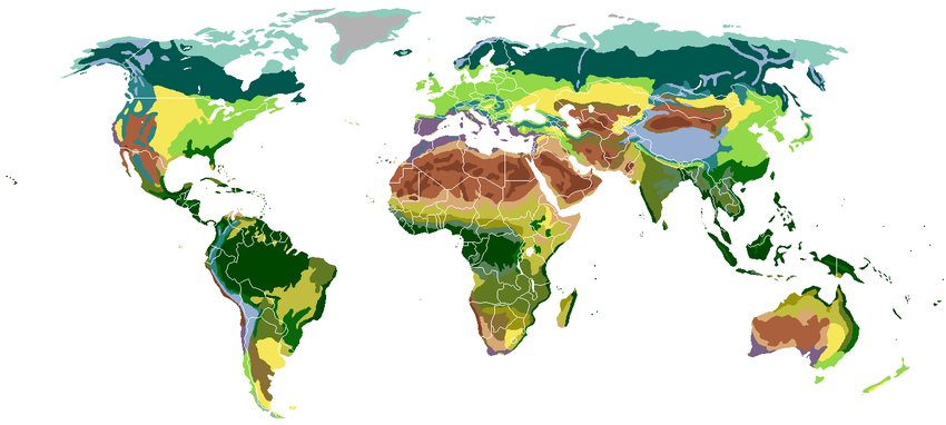 Biomen wereldwijd, gedefinieerd naar vegetatie