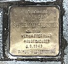 Stolperstein (Stumbling Stone) for Wilhelm Schürmann-Horster.