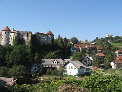 Pohled na vesnici Žužemberk s hradem