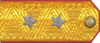 погоны 1943