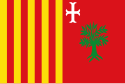 Cadrete - Bandera