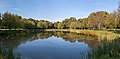 Pond in the Clara-Zetkin-Park