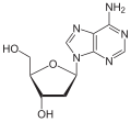 Deutsch: Struktur von Desoxyadenosin English: Structure of Deoxyadenosine