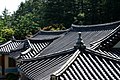 Dosan Seowon (Roof)
