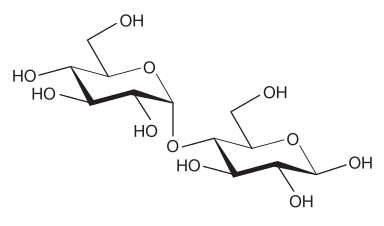 Maltosa.