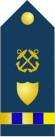 Chief Warrant Officer 3