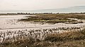 Uitzicht op de Waddenzee achter de zeedijk bij Paesens-Moddergat richting Schiermonnikoog