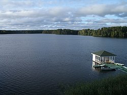 Alasüvärin londuseline kel'dtaho, jogen lanktendan sija Ladogha