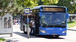 134-es busz a Szentlélek téren